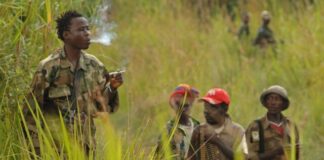 Sécurité: un nouveau groupe armé dénommé « MAPI » surgit en Ituri