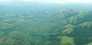 Ituri : les FARDC et UPDF pilonnent les positions des ADF dans la forêt de Tokomeka