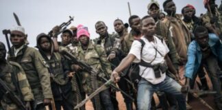 Ituri : la milice Zaïre accusée d’avoir tué environ 64 personnes en 5 mois