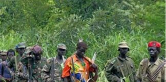Nord-Kivu : 2 civils libérés des mains des ADF après plusieurs mois de captivité à Eringeti