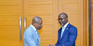 Diplomatie : La RDC et l’Allemagne vont tenir des négociations du 20 au 21 février pour la reprise de la coopération structurelle!