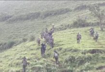 Nord-Kivu : Situation sur les lignes de front jeudi 2 avril 2023 !