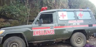 Nord-Kivu/Crime de guerre : Nos prisonniers de guerre assassinés mais attachées dans le dos par les M23/RDF à Kilolirwe !