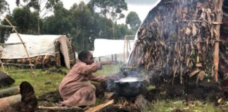 Nord-Kivu/Masisi : Plus au moins 18 000 menages dépourvus d’assistance humanitaire en chefferie de Bashali !