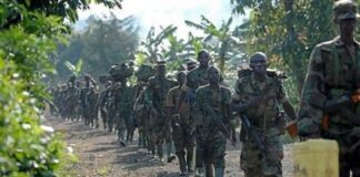 Nord-Kivu : nombre des civils tués par le M23 depuis sa résurgence !