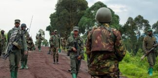 L’armée congolaise face au M23 : des plaintes à l’action ?