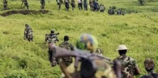 Masisi : Plusieurs éléments M23 ont été tués et certains sont invisibles dans plusieurs coins qu’ils occupaient !
