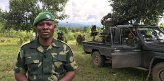 Nord-Kivu : Le M23 viole le cessez-le-feu, dénonce le porte-parole des FARDC !