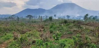 Rutshuru : Plus 32 personnes tuées par les M23/RDF à Kazaroho !