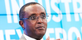 Vincent Biruta accuse la RDC de protéger les FDLR sur son territoire !