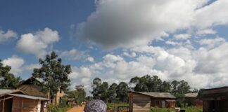 Beni : 35 personnes ont été tuées avec des machettes par les ADF à Mukondi !