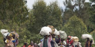 Pillage organisé du Congo : les preuves dévoilées par un politologue