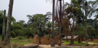 Kwamouth : récemment arrêté, un chef milicien transféré à Kinshasa