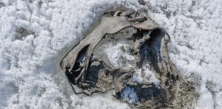 Une sandale romaine vieille de 1700 ans découverte dans les montagnes norvégiennes