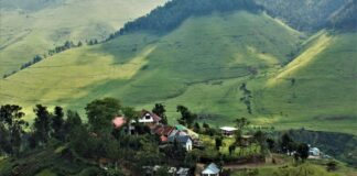 Masisi : Accrochage entre Nyatura et APCLS dans le groupement de Nyamaboko !