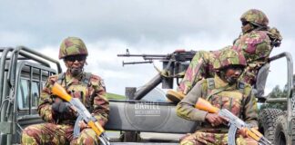 Guerre de l’Est : La SADC s’engage à déployer des troupes !