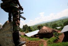 Rutshuru : Assassinat choquant d’un défenseur des droits de l’homme et de l’environnement à Bishusha Rutshuru, Nord-Kivu, RDC, Bambu