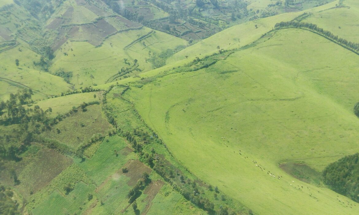 RDC: à l'approche des élections, le M23 fonce sur Goma 1 RDC: à l'approche des élections, le M23 fonce sur Goma 1