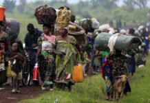 Nord-Kivu : 30 jours de cessez-le-feu sans impact humanitaire visible Trêve humanitaire au Nord-Kivu, n'a pas eu d'impact sur la population déplacée interne