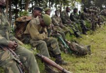 RDC : Deux humanitaires tués au Nord-Kivu, l’ONU appelle à une action urgente RDC