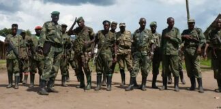 Guerre dans l’Est de la RDC : quand la diplomatie se fissure sous le poids de la méfiance