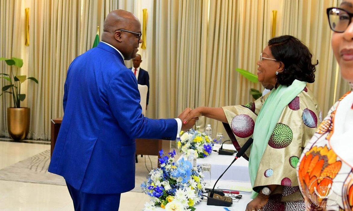 RDC : Tshisekedi échange avec le Panel des facilitateurs de l’UA sur la paix 1
