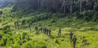 Sud-Kivu : Sange sous pression, les combats embrasent la plaine de la Ruzizi