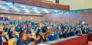 RDC – Changement de la constitution : debut de débat autour de la proposition de loi sur le référendum
