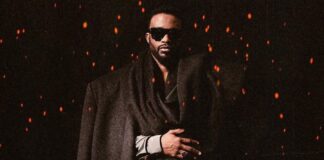 Fally Ipupa en conquête du Stade de France : vingt ans au sommet